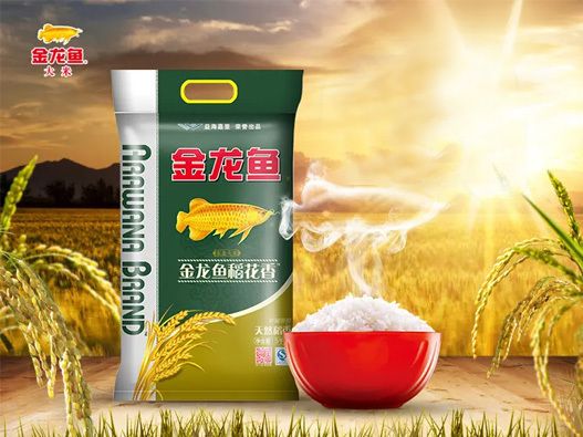 什么是古典金龍魚(yú)的標(biāo)志呢：古典金龍魚(yú)與現(xiàn)代品種區(qū)別古典金龍魚(yú)的飼養(yǎng)技巧