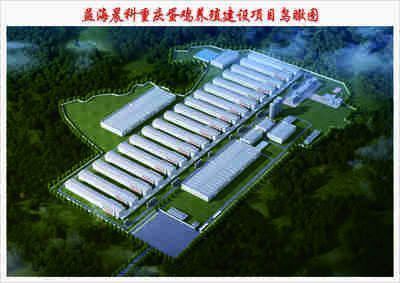 石家莊紅龍魚養殖基地地址在哪里：石家莊紅龍魚養殖基地 石家莊紅龍魚養殖基地地址在哪里：石家莊紅龍魚養殖基地 龍魚百科 第1張