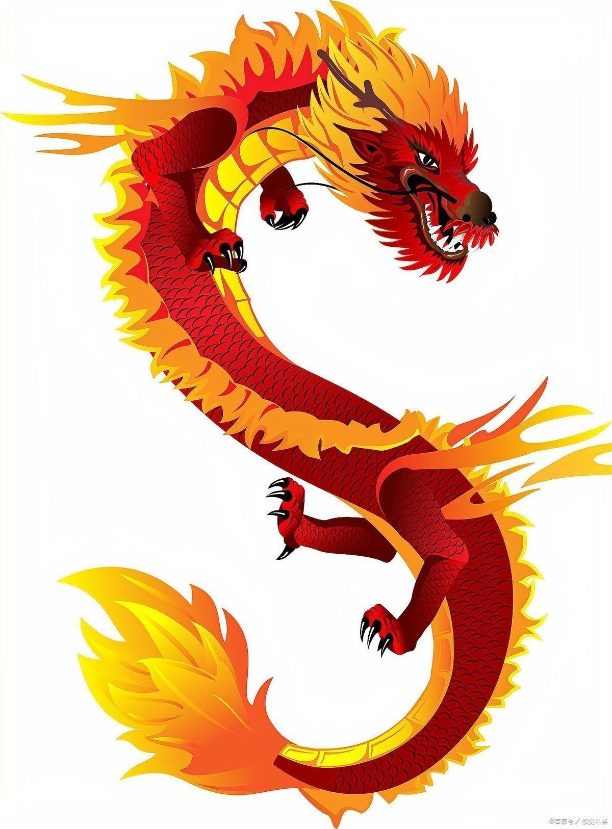 紅龍與金龍的傳說起源