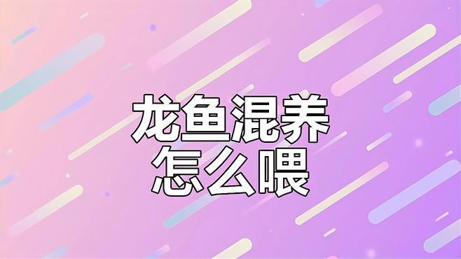 和龍魚混養的魚吃什么 和龍魚混養的魚吃什么 龍魚百科 第2張