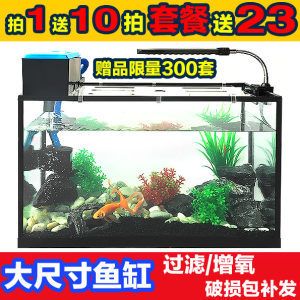 養3條龍魚要多大的缸好：養3條龍魚最好選擇一個長度在270cm以上的魚缸
