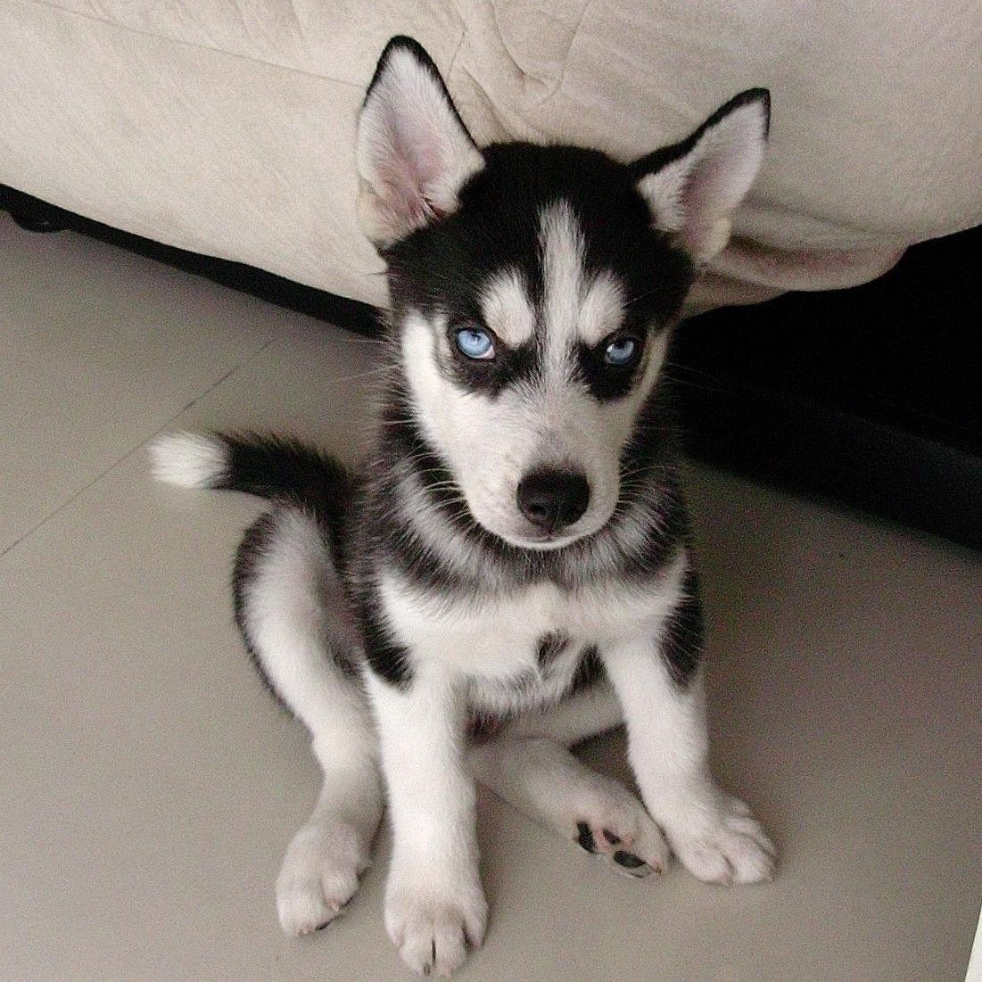 魚身上有潰爛現象怎么治用什么藥