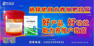 龍魚喂小魚和蝦哪個(gè)好養(yǎng)：如何挑選適合龍魚的小魚