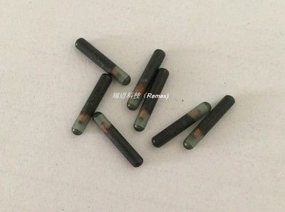 龍魚芯片號是否可以更改（龍魚芯片號可以更改嗎？）