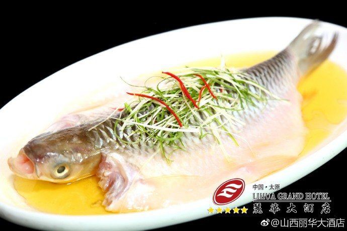 馬來(lái)西亞魚(yú)王忘不了 馬來(lái)西亞魚(yú)王忘不了 龍魚(yú)百科 第10張