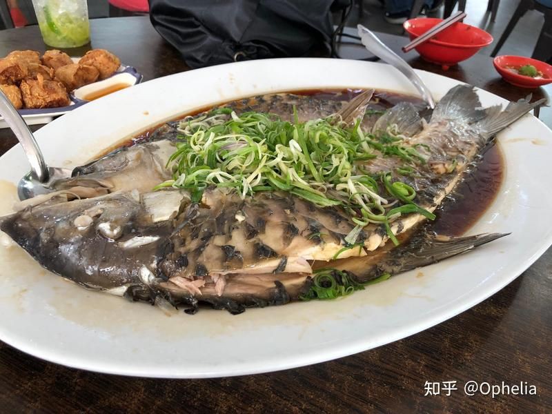 馬來(lái)西亞魚(yú)王忘不了 馬來(lái)西亞魚(yú)王忘不了 龍魚(yú)百科 第9張