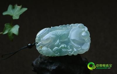 龍騰四海是一家集觀賞魚銷售、產品研發和生產于一體的公司：深圳龍騰四海是一家專注于觀賞魚的公司