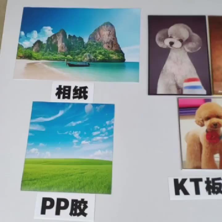 金龍在玄學(xué)中的寓意