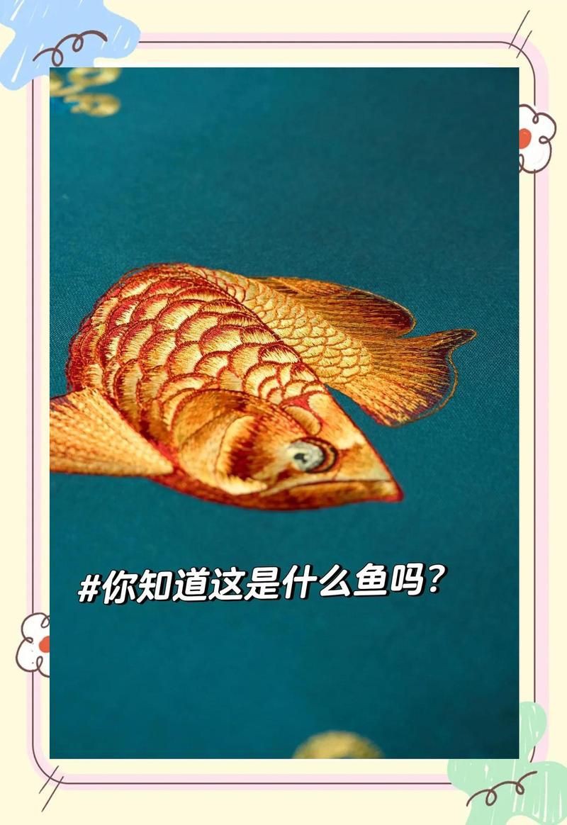 龍魚暗示啥意思 龍魚暗示啥意思 龍魚百科 第7張