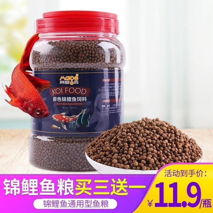 雷龍吃上浮飼料還是下沉飼料