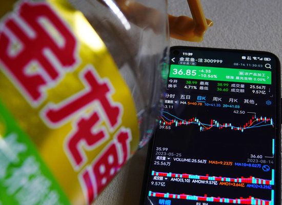 金龍魚最新市值（金龍魚最新市值為100億美元） 金龍魚最新市值（金龍魚最新市值為100億美元） 龍魚百科 第1張