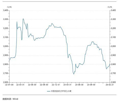 金龍魚最新市值（金龍魚最新市值為100億美元） 金龍魚最新市值（金龍魚最新市值為100億美元） 龍魚百科 第5張