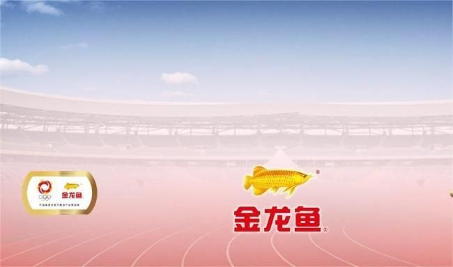 金龍魚最新市值（金龍魚最新市值為100億美元） 金龍魚最新市值（金龍魚最新市值為100億美元） 龍魚百科 第2張
