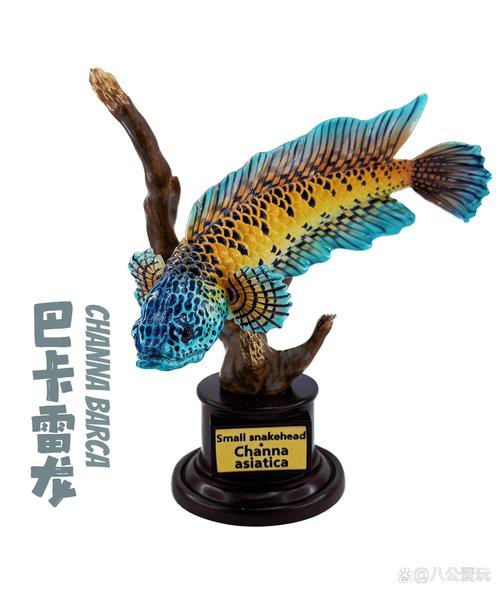 最大的雷龍魚是哪一種品種圖片 最大的雷龍魚是哪一種品種圖片 龍魚百科 第8張