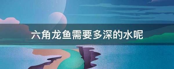 龍魚(yú)適合多深的水養(yǎng)魚(yú)：龍魚(yú)適合多深的水養(yǎng)魚(yú)呢？