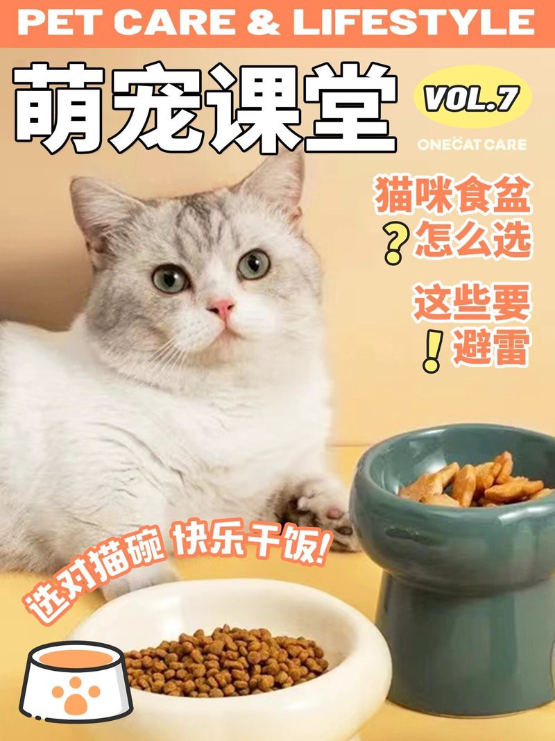 如何挑選適合龍貓的食盆？ 如何挑選適合龍貓的食盆？ 龍魚百科 第5張