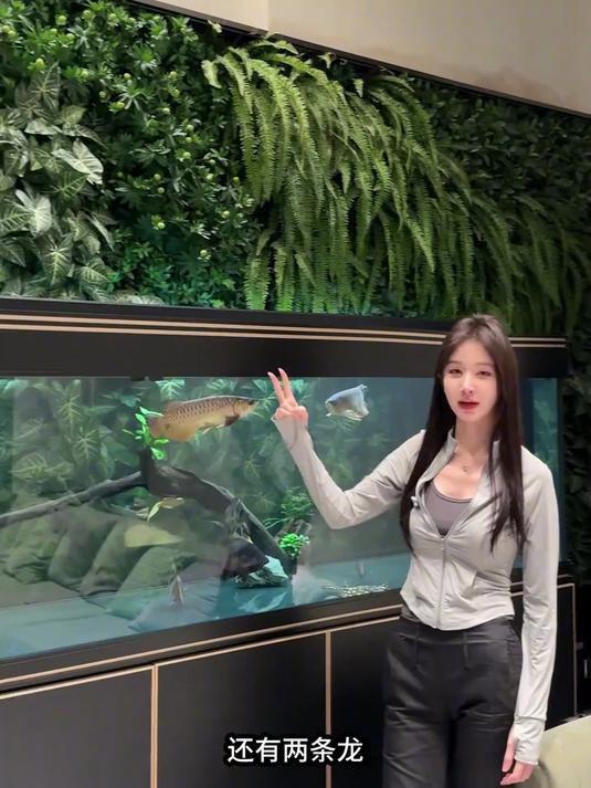 雙金龍混養需要多大的魚缸？ 雙金龍混養需要多大的魚缸？ 龍魚百科 第4張