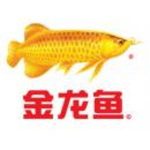 金龍魚工資待遇怎么樣山東 金龍魚工資待遇怎么樣山東 龍魚百科 第6張