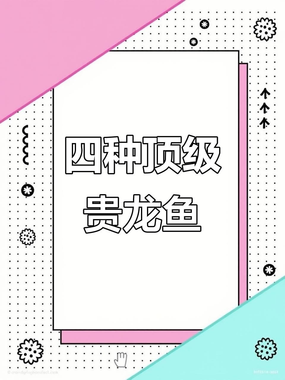 龍魚之家魚血統最貴三個品牌