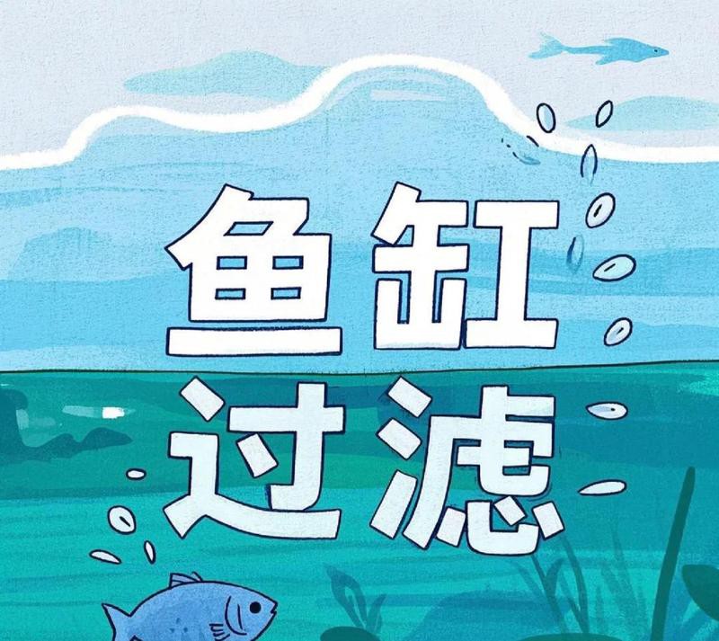 過背金龍需要什么樣的過濾系統？ 過背金龍需要什么樣的過濾系統？ 龍魚百科 第7張