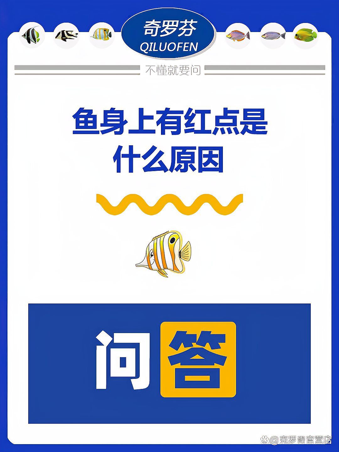 紅龍鱗片上有紅斑怎么辦？