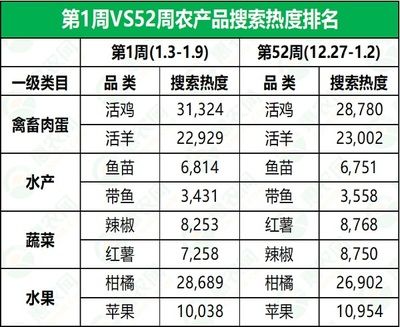 豬鼻子龜和龍魚一起養：豬鼻龜可以跟龍魚混養嗎？混養指南與注意事項