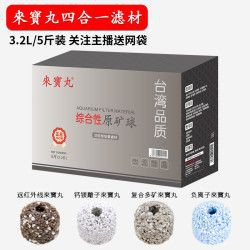 金龍魚最建議買的濾材