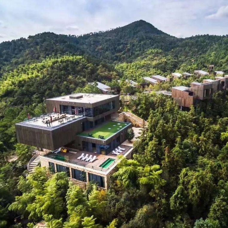 金龍魚最建議買的濾材