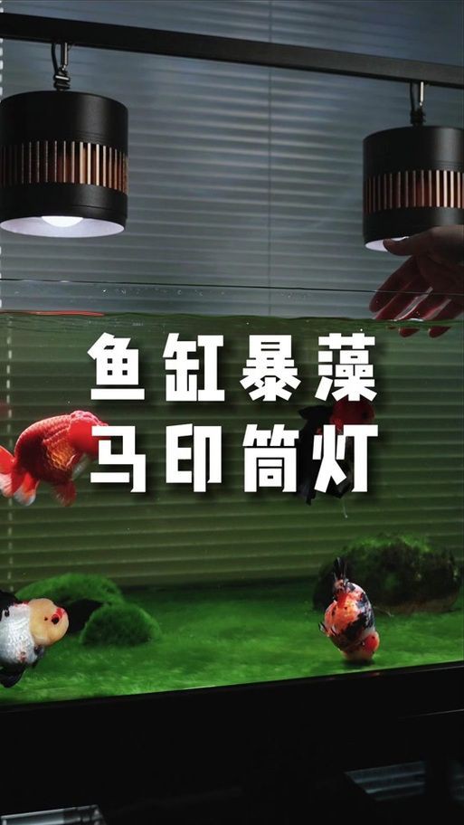 馬印燈擺放位置示意圖