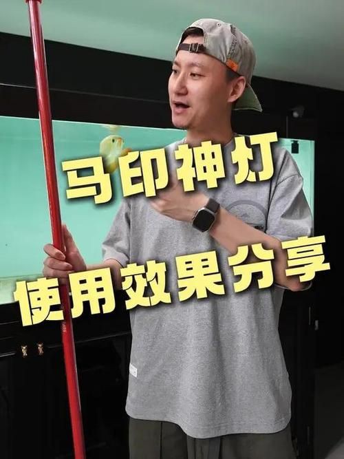 馬印燈擺放位置示意圖