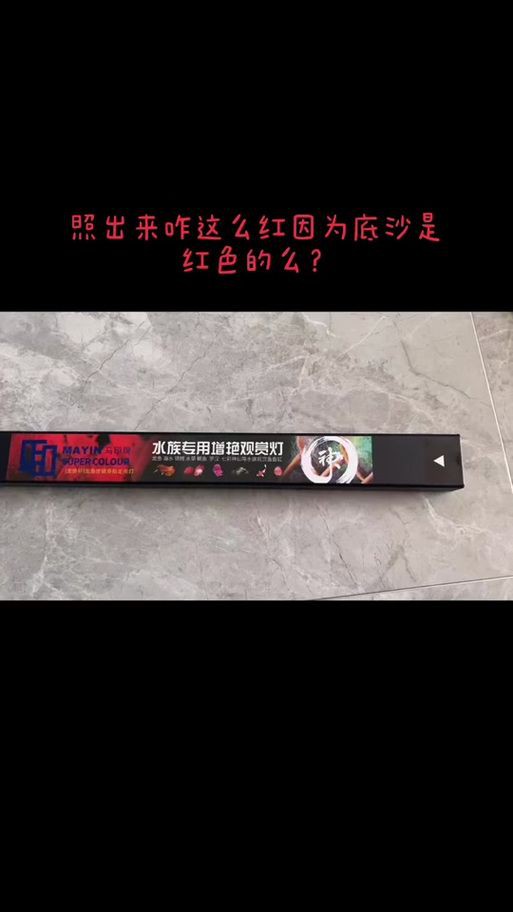 馬印燈擺放位置示意圖