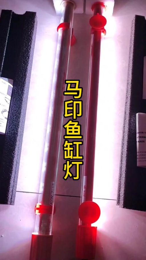 馬印燈擺放位置示意圖