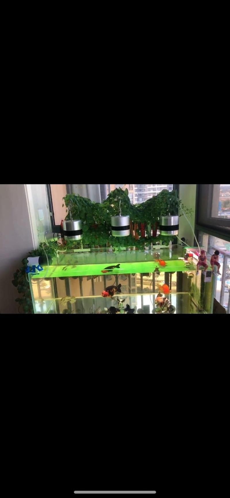 馬印燈擺放位置示意圖