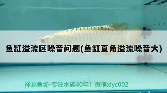 銀龍魚(yú)水溫波動(dòng)應(yīng)對(duì)：銀龍魚(yú)水溫波動(dòng)如何應(yīng)對(duì)