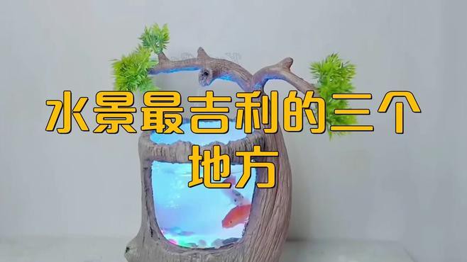 有哪些適合臥室的龍頭朝向圖片 有哪些適合臥室的龍頭朝向圖片 龍魚百科 第4張
