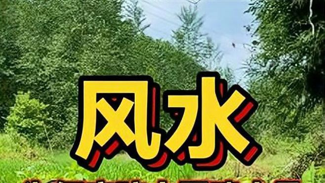 有哪些適合臥室的龍頭朝向圖片 有哪些適合臥室的龍頭朝向圖片 龍魚百科 第1張