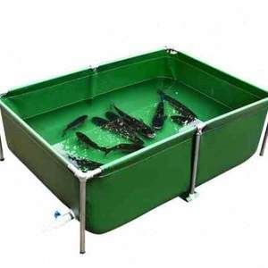 養紅龍魚用魚塘可以嗎（養紅龍魚使用魚塘可行嗎？） 養紅龍魚用魚塘可以嗎（養紅龍魚使用魚塘可行嗎？） 龍魚百科 第1張