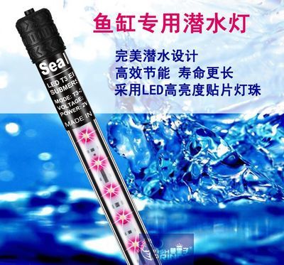 龍魚能用led燈嗎（如何選擇適合龍魚的led燈）