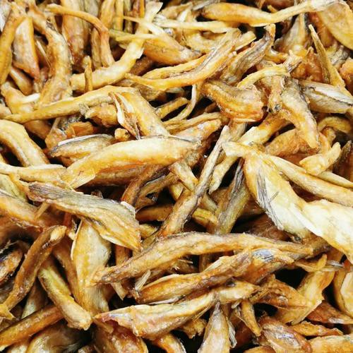 如何挑選適合的龍魚酥？