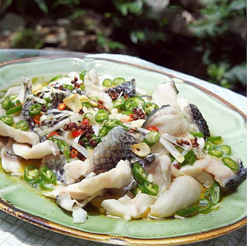 烏龍魚是什么樣子的