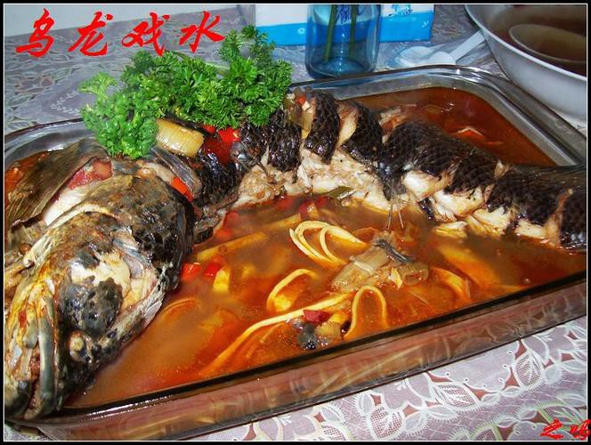 烏龍魚是什么樣子的