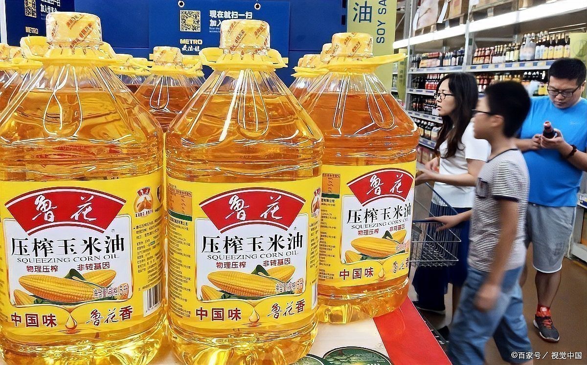 金龍魚產地哪里