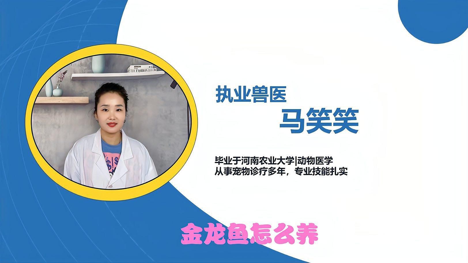 金龍魚的最佳喂養頻率