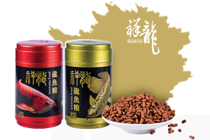 紅龍魚飼料品質(zhì)排名榜最新（紅龍魚飼料品牌排名榜）