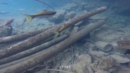 養龍魚底部鋪什么好看裸缸飼養方法有幾個優點：養龍魚底部鋪什么好看養龍魚底部鋪什么好看