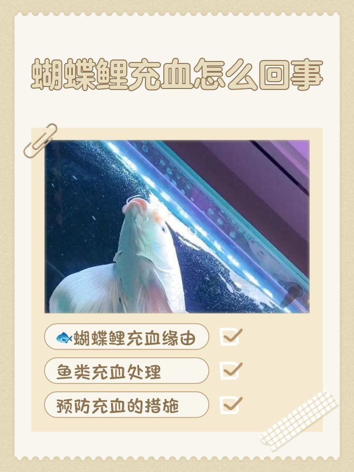 魚頭充血多久會好