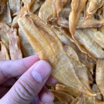 小金龍魚膠多少錢一斤