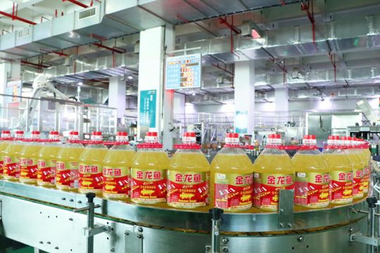 金龍魚高端產品介紹文案范文（金龍魚高端產品）