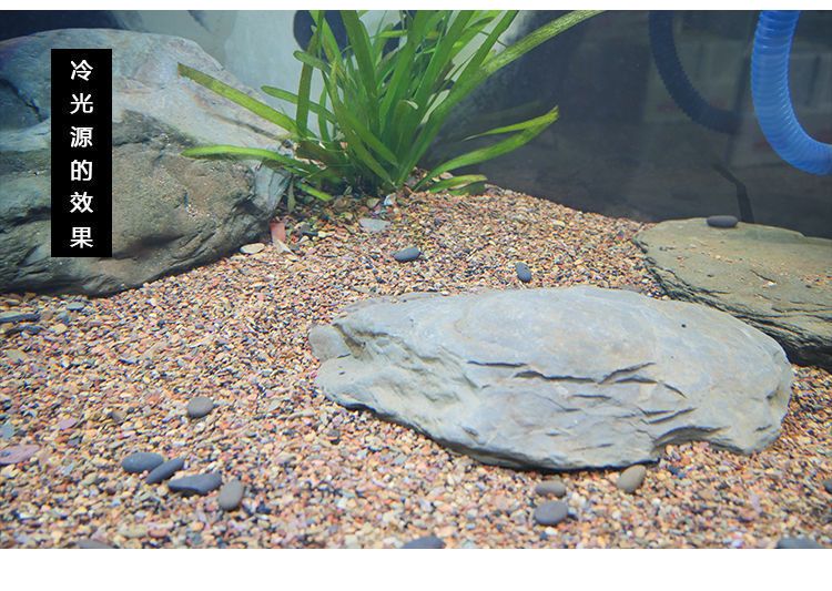 龍魚鋪什么底砂：鋪底砂對龍魚缸來說是可行的，但需要謹慎選擇和正確維護