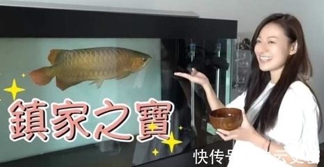 龍魚浮在水面角落不動怎么回事：龍魚浮在水面角落不動可能由以下幾個原因引起水質問題